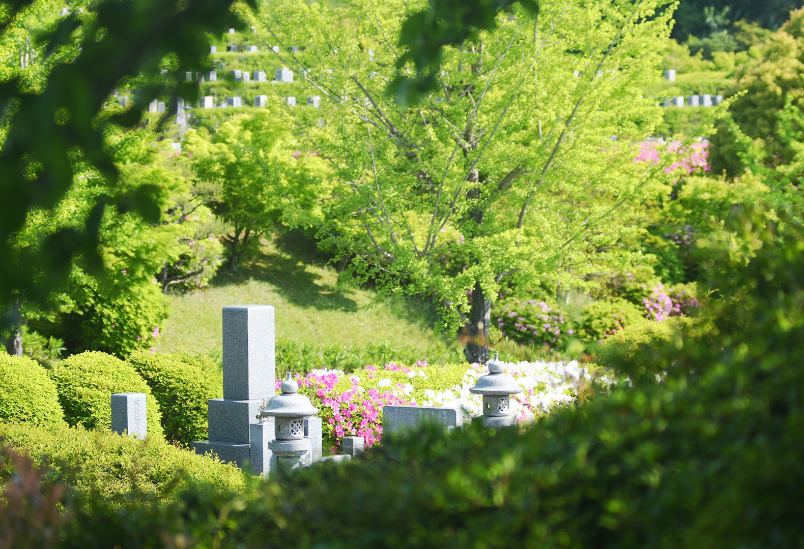 飯盛霊園 大阪の公営霊園